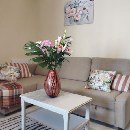 Spacious Apartment La Mata Pool&Beach Torrevieja Extérieur photo